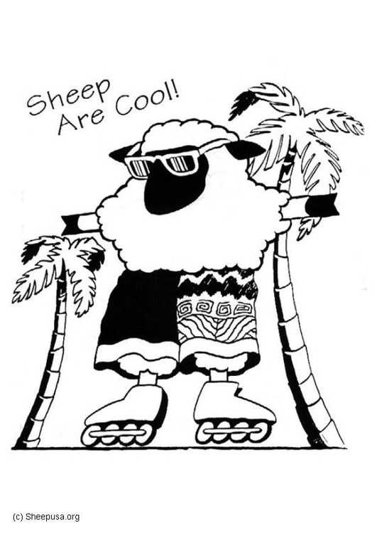 Kleurplaat schaap - sheepusa