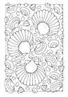 schelpen
