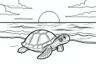 schildpad op strand met mooie zonsondergang