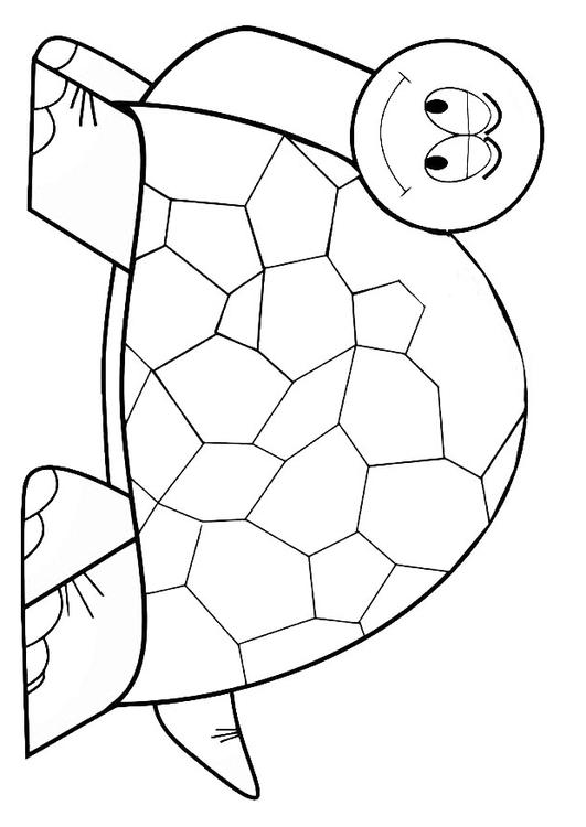 schildpad