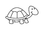Kleurplaten schildpad