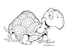 Kleurplaat schildpad