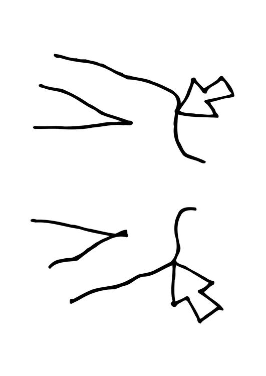 schouders