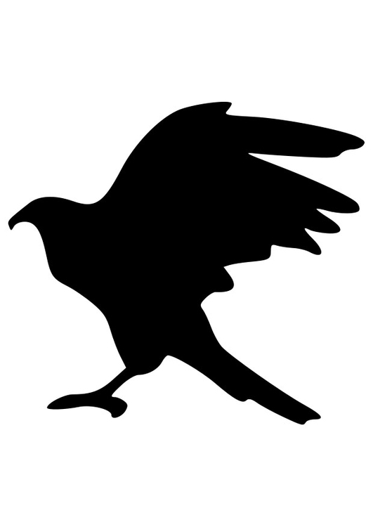 Kleurplaat silhouette adelaar 