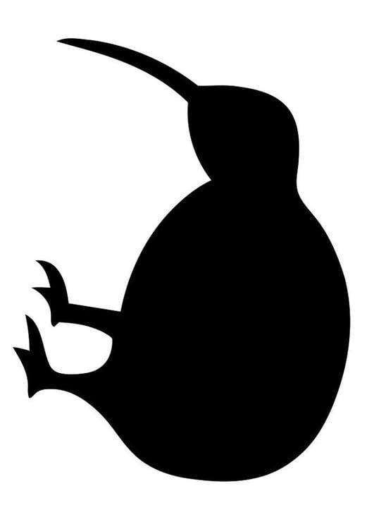 silhouette vogel - kiwi