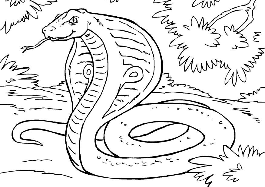 Kleurplaat slang - cobra