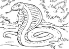 Kleurplaten slang - cobra