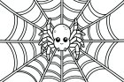 spin in web