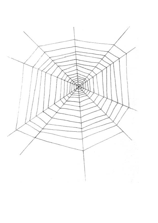 Kleurplaat spinnenweb