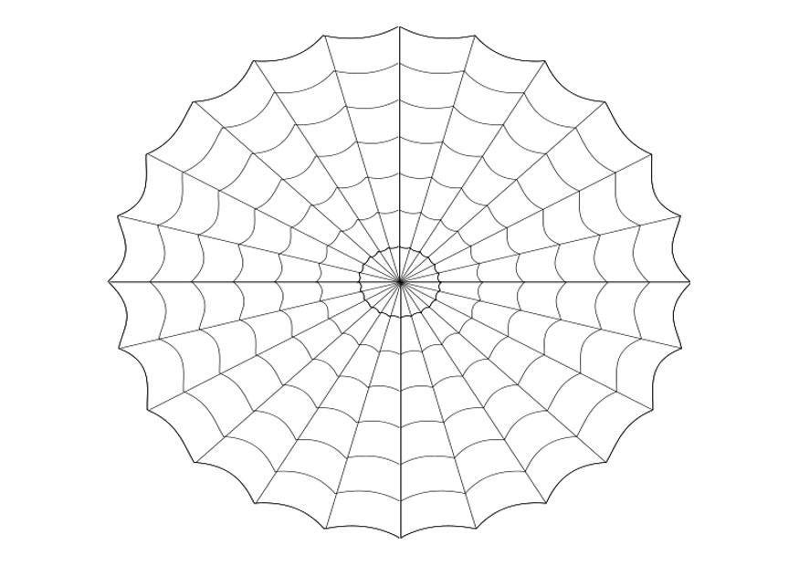 Kleurplaat spinnenweb