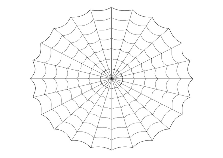 Kleurplaat spinnenweb