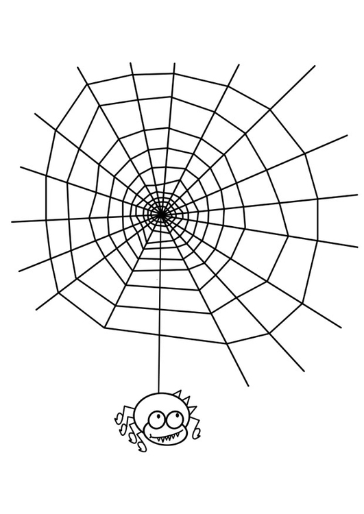 Kleurplaat spinnenweb met spin