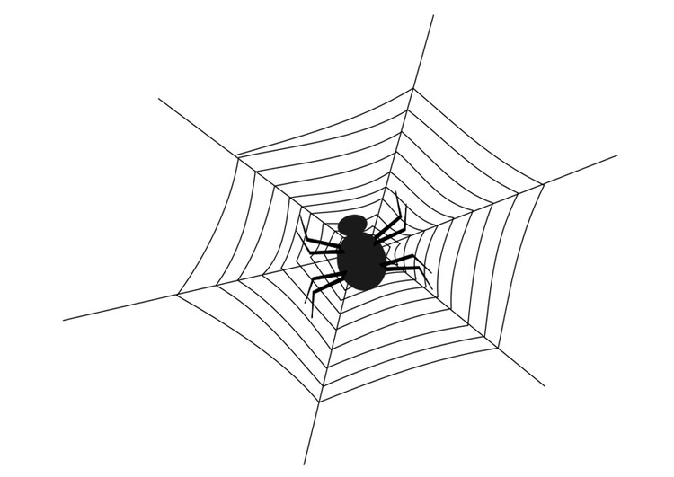 Kleurplaat spinnenweb met spin