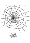 kleurplaat spinnenweb met spin