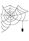 kleurplaat spinnenweb met spin