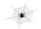 Kleurplaat spinnenweb met spin