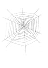 Kleurplaten spinnenweb