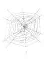 Kleurplaten spinnenweb