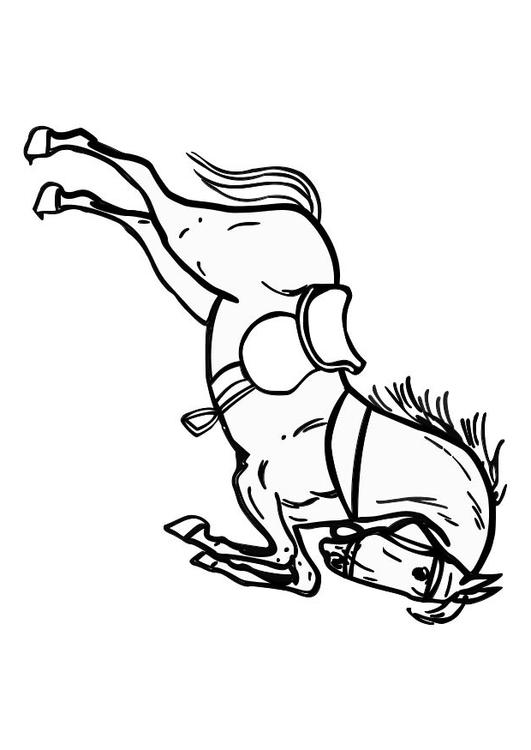 springend paard