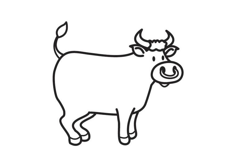 Kleurplaat stier