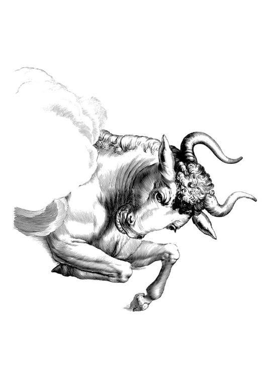 stier