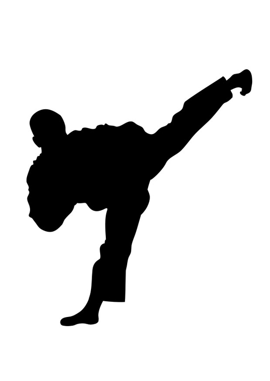 Kleurplaat taekwondo