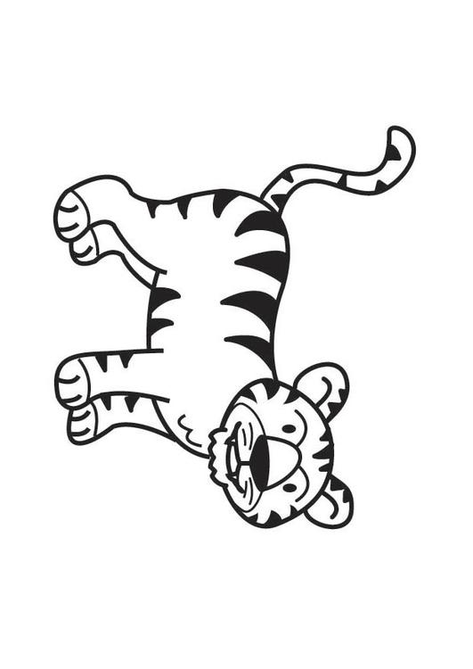 tijger 