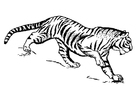 Kleurplaten tijger