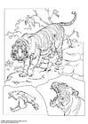 Kleurplaat tijger