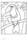 Kleurplaat toucan