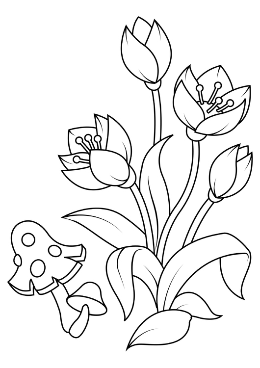 Kleurplaat tulpen met paddestoel