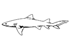 Kleurplaten vis - haai