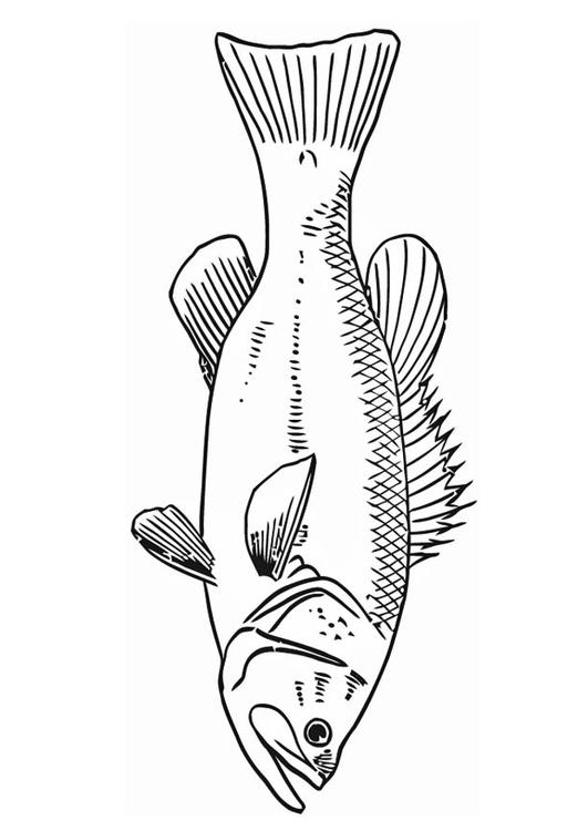 vis