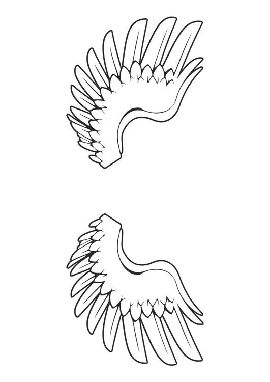 vleugels 