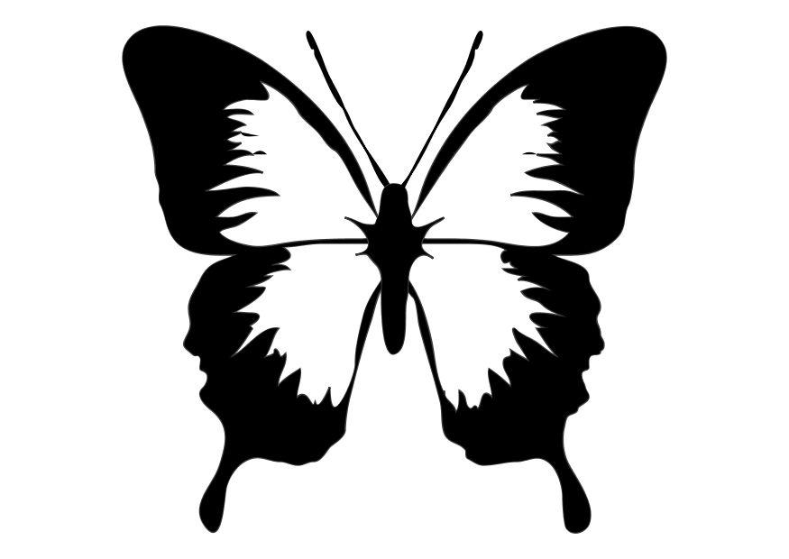 Kleurplaat vlinder