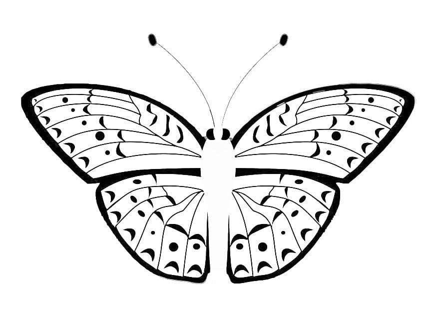 Kleurplaat vlinder 
