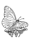 Kleurplaten vlinder