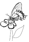Kleurplaten vlinder op bloem