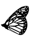 vlinder 