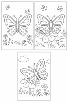 vlinders ind e tuin