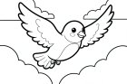 vogeltje