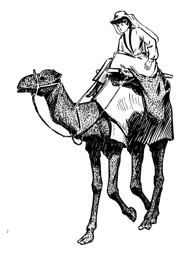 Kleurplaat vrouw op kameel