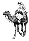 Kleurplaat vrouw op kameel