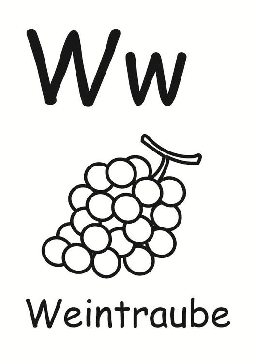 w