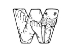 w-walrus