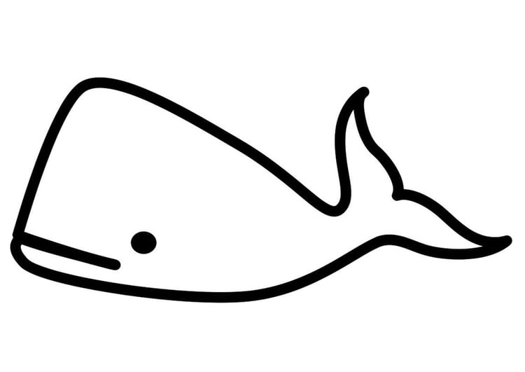 Kleurplaat walvis
