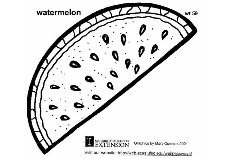 Kleurplaat watermeloen