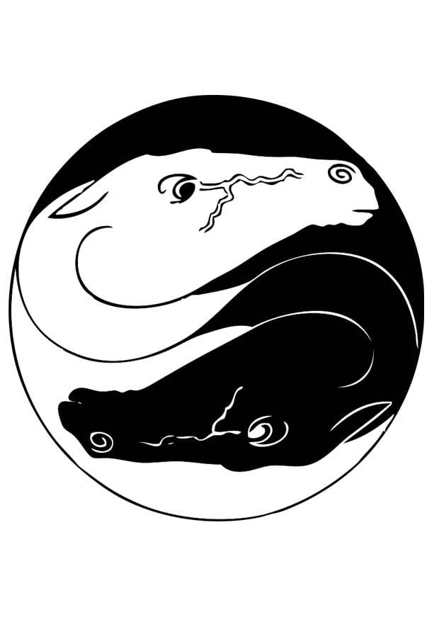 Kleurplaat ying yang paarden