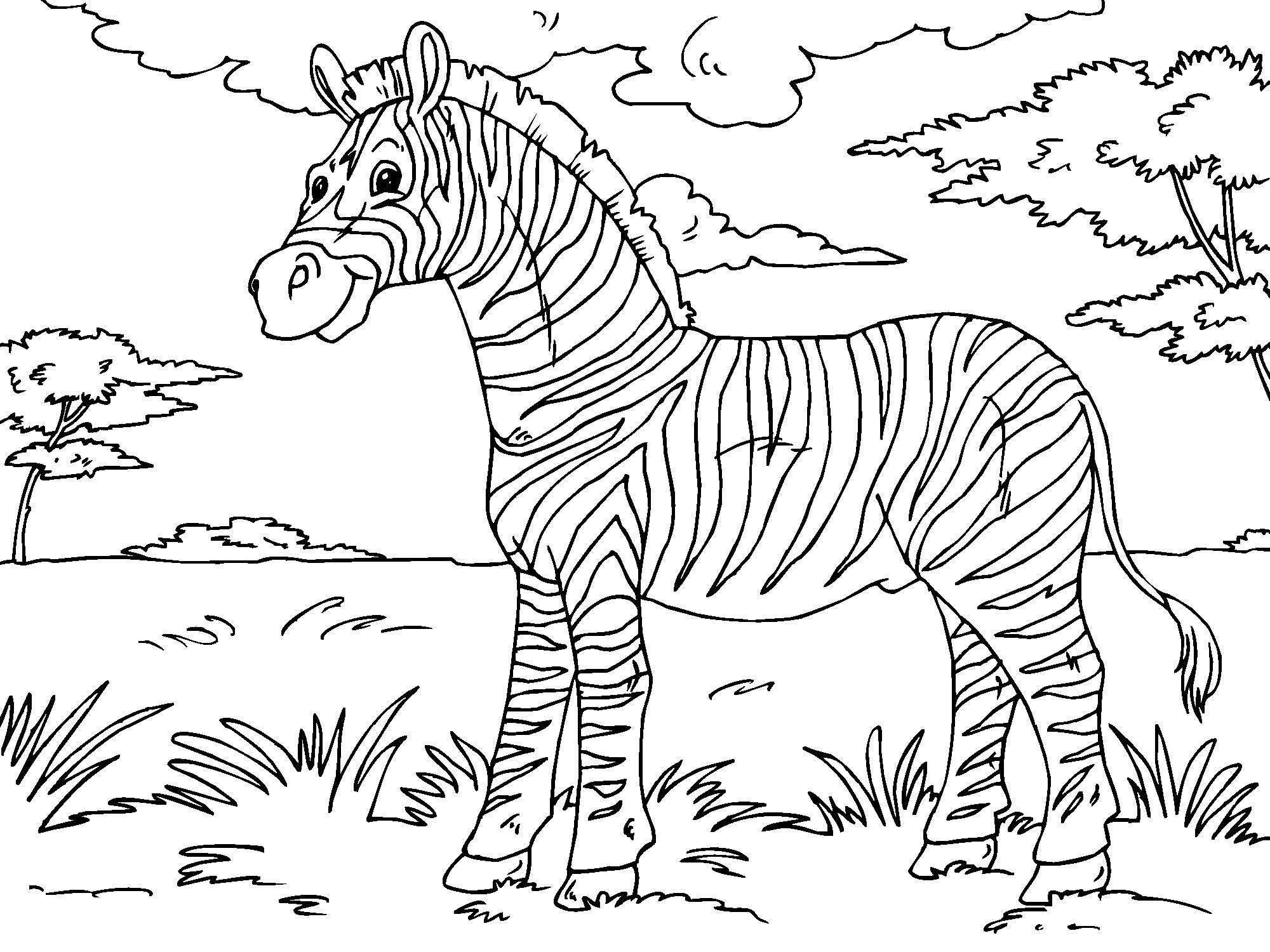 Kleurplaat zebra