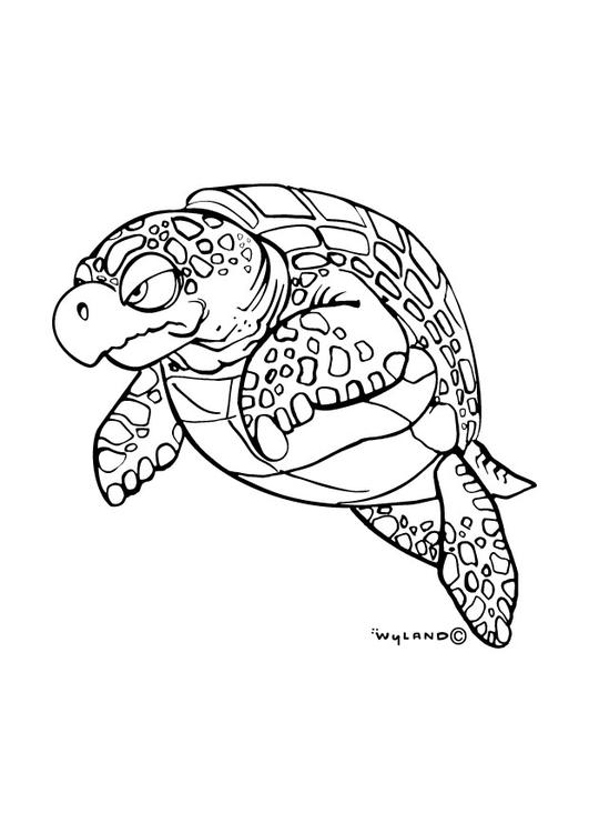 zeeschildpad